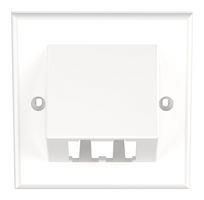 SLOPED FACEPLATE, 2PORT, WHITE CFPUKS2BAWY