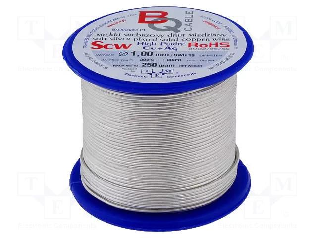Silver plated copper wires; 1mm; 250g; Cu,silver plated; 36m BQ CABLE SCW-1.00/250