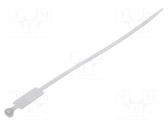 Cable tie; with label; L: 220mm; W: 4.8mm; natural; polyamide; 220N BM GROUP BMT12248