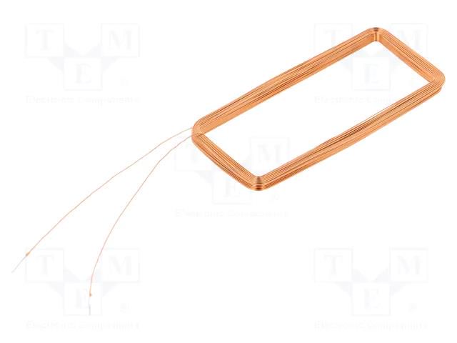 Antenna; RFID; 125kHz; Body dim: 25x55x3mm; Usable dim: 20x50x3mm SR PASSIVES CP-1MH-20-50-3