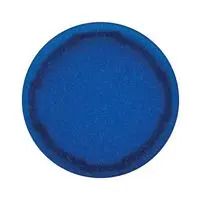 PUSHBUTTON CAP, DHS/CONTROL PANEL, BLU 103052436