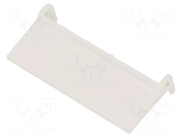 Label; OEM: 863802; R4N RELPOL GZT4-0035