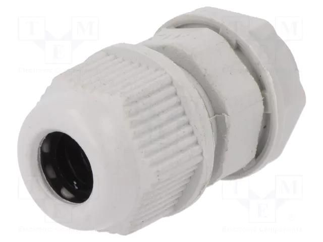 Cable gland; M12; 1.5; IP65; polyamide; grey RAYCHEM RPG RNMG12X1.5