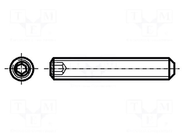 Screw; M6x22; 1; Head: without head; hex key; HEX 3mm; steel BOSSARD B6X22/BN24