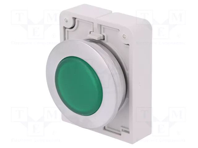 Control lamp; 30mm; RMQ-Titan; Illumin: M22-LED; Ø30.5mm; IP67 EATON ELECTRIC M30C-FL-G