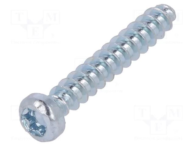 Screw; for plastic; 2.5x16; Head: cheese head; Torx® PLUS; 8IP BOSSARD B25X16/BN13265