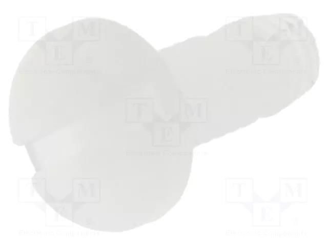 Screw; M2.5x8; Head: cheese head; slotted; plastic; natural ESSENTRA RI-NSE-1580-M2.5-8
