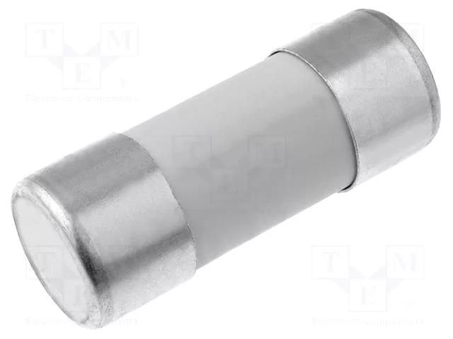 Fuse: fuse; 25A; 690VAC; aM; ceramic,cylindrical,industrial DF ELECTRIC B22X58T-25A