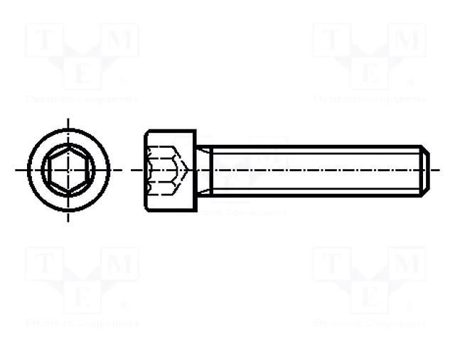 Screw; M6x10; 1; Head: cheese head; hex key; HEX 5mm; steel; zinc BOSSARD B6X10/BN3