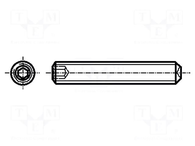 Screw; M4x5; 0.7; Head: without head; hex key; HEX 2mm; DIN 916 BOSSARD B4X5/BN621