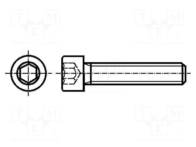 Screw; M8x10; 1.25; Head: cheese head; hex key; HEX 5mm; steel ELESA+GANTER GN7984.3-M8-10-BT