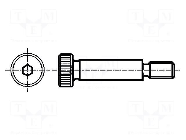 Shoulder screw; steel; M6; 1; Thread len: 11mm; hex key; HEX 4mm ELESA+GANTER ISO7379-8-M6-55