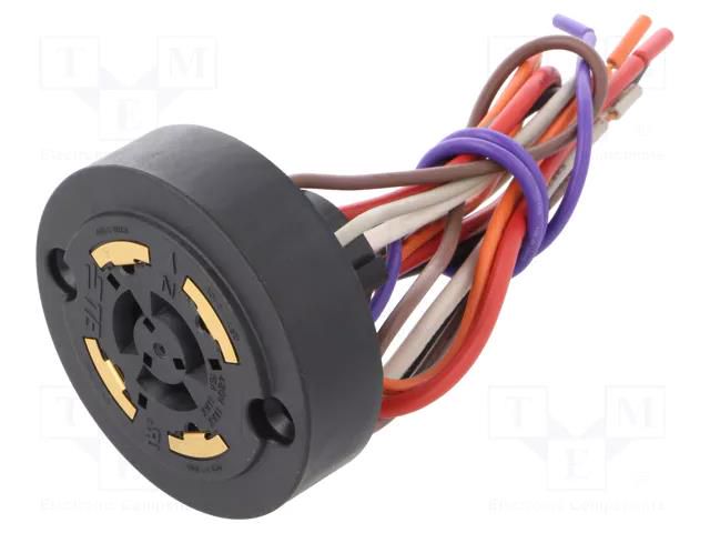 Connector: circular; socket; female; LUMAWISE Endurance N; cables TE Connectivity 2213362-4