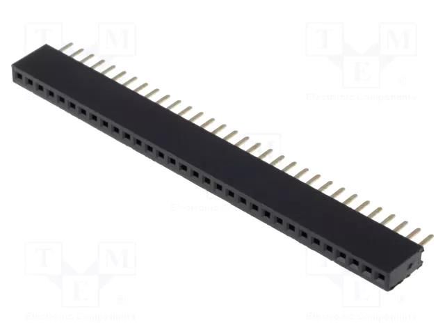 Connector: pin strips; socket; female; PIN: 32; straight; 1A; THT CONNFLY DS1065-01-1X32S8BV