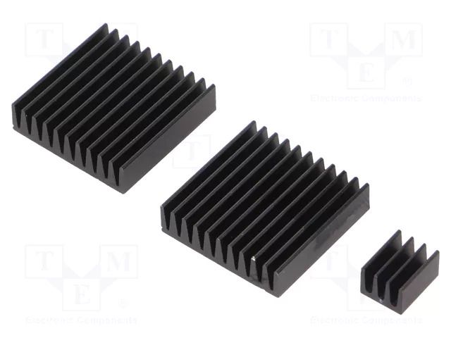 Heatsink: extruded; grilled; Raspberry Pi; black; aluminium TEKO RPI-COOLKIT.9