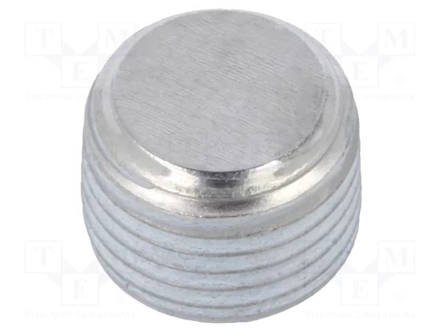 Hexagon head screw plug; with micro encapsulation; Thread: R 1" ELESA+GANTER DIN906-NI-R1-GPC