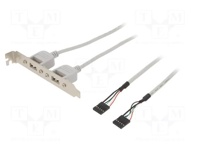 Adapter; brackets on slot; USB A socket x2,5pin pin header x2 BQ CABLE AK674.1
