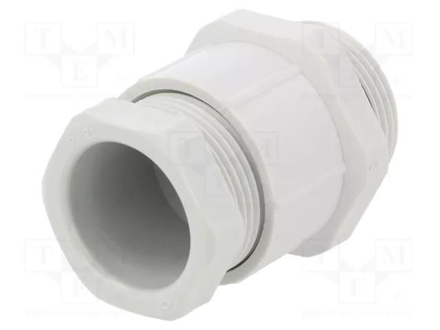 Cable gland; PG21; polyamide ILME ILME-AFP21