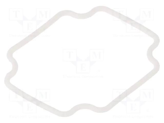 Gasket; Gasket material: silicone GAINTA A362SEAL
