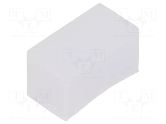 Ending; silicone IPIXEL LED N010002