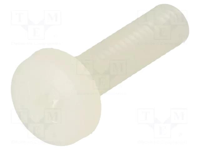 Screw; M4x30; 0.7; Head: cheese head; Pozidriv; 1mm; polyamide DREMEC DR8G205M4X30