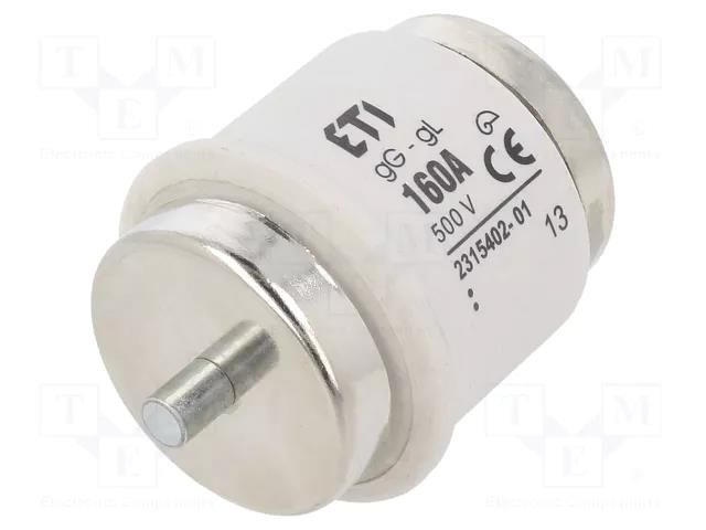 Fuse: fuse; 160A; 500VAC; 500VDC; gG; ceramic; DV; D ETI POLAM 002315402