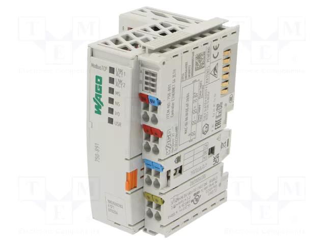 Module: PLC programmable controller; 750; Programming: PC,WWW WAGO 750-891