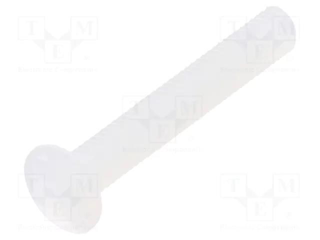 Screw; M3x20; 0.5; Head: oval,countersunk; slotted; 1mm; polyamide DREMEC DR8G203M3X20