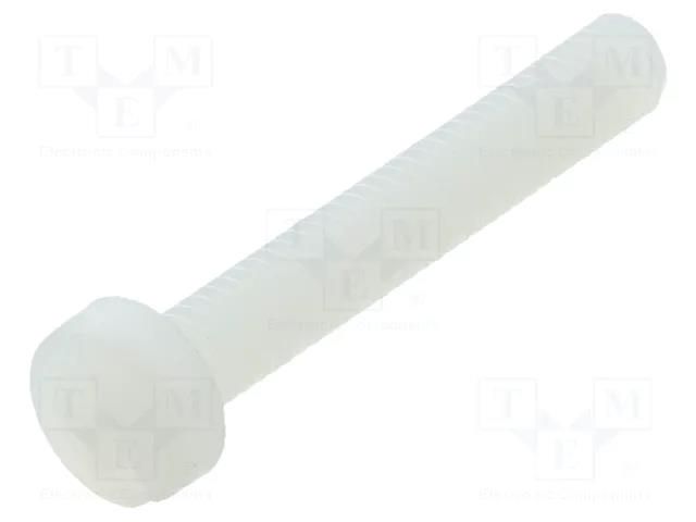 Screw; M4x25; 0.7; Head: cheese head; slotted; 1.3mm; polyamide DREMEC DR8G201M4X25