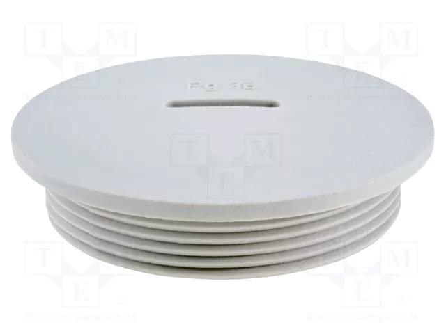 Stopper; PG36; IP54; polyamide; grey; V-N-FS; Thread: PG; 10mm HUMMEL HUMMEL-1251360011