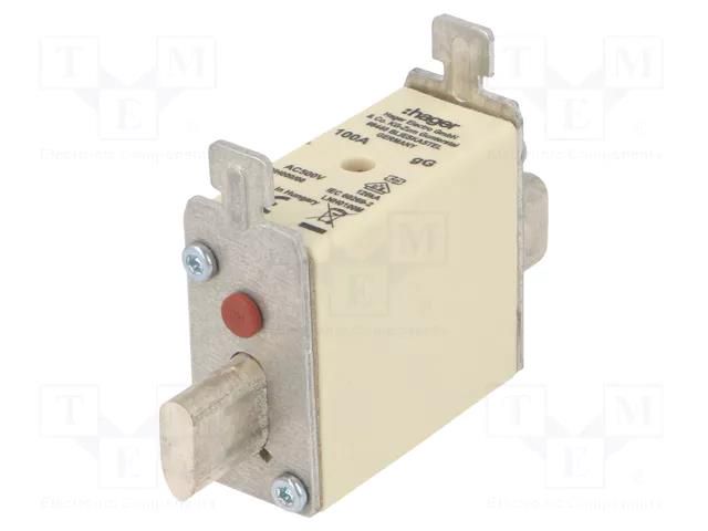 Fuse: fuse; 100A; 500VAC; gG; industrial; NH000 HAGER LNH0100M