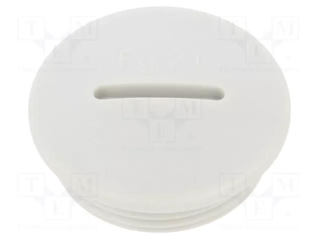 Stopper; PG21; IP54; polyamide; light grey; SKINDICHT®; 8mm LAPP LP-52024853