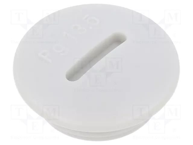 Stopper; PG13,5; IP56; polyamide; light grey; Thread: PG; 6mm BM GROUP BM4599