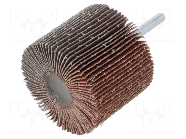 Grinding pin; Granularity: 60; Mounting: rod 6mm; flap,with lever PG PROFESSIONAL PG-RG.028