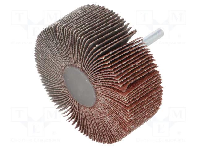 Grinding pin; Granularity: 60; Mounting: rod 6mm; flap,with lever PG PROFESSIONAL PG-RG.032