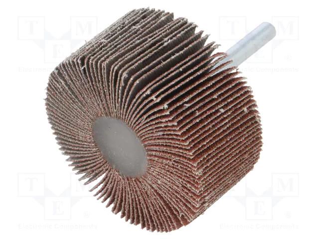 Grinding pin; Granularity: 80; Mounting: rod 6mm; flap,with lever PG PROFESSIONAL PG-RG.061