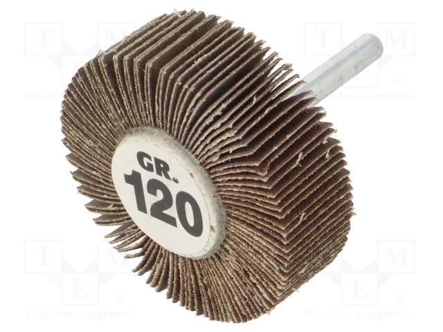 Grinding pin; Granularity: 120; Mounting: rod 6mm; Ø60x20mm PG PROFESSIONAL PG-RG.094