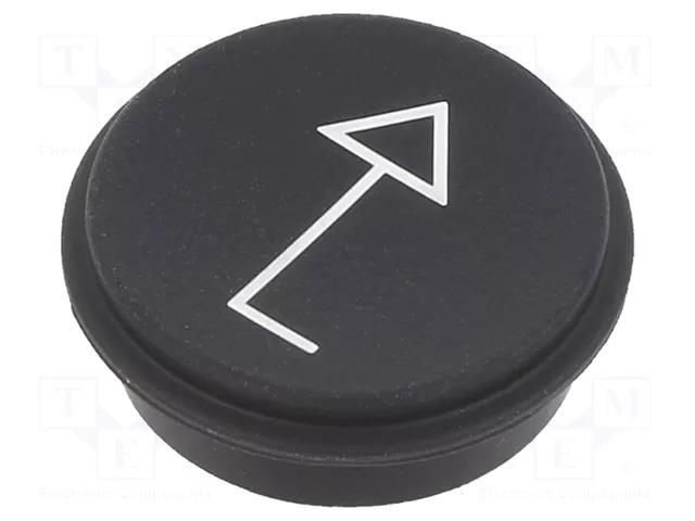 Button; round; Ø21mm; black; 09 EAO 09-0S12.0651B