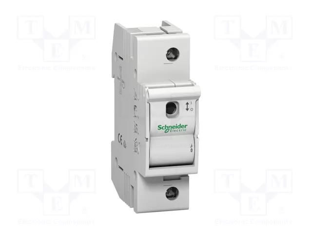 Fuse disconnector; D01; for DIN rail mounting; 63A; Poles: 1 SCHNEIDER ELECTRIC MGN02163