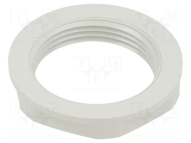 Nut; PG21; polyamide; UL94V-2; 36mm; light grey; Thread: PG LAPP LP-53019051