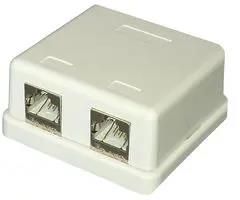 CAT 6A SURFACE MOUNT SOCKET, 2 PORT SGKH2