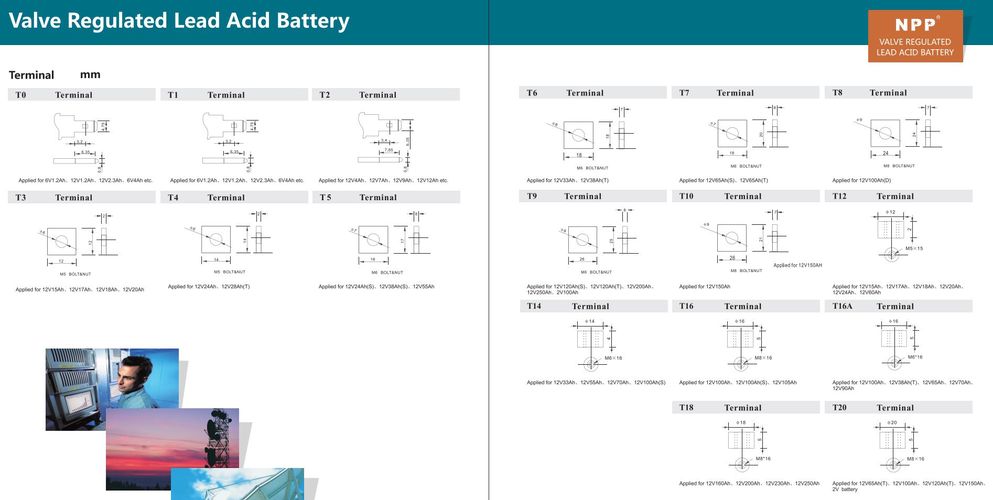 Battery 12V 65Ah T14(M6) Pb GEL NPP NPG12-65Ah