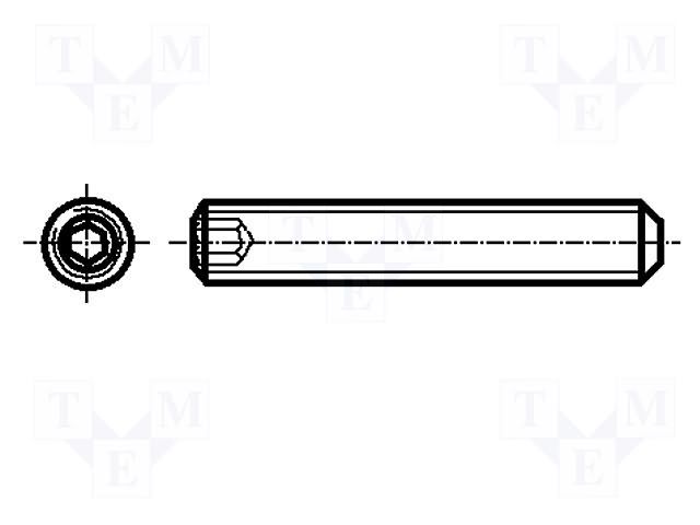 Screw; M6x12; 1; Head: without head; hex key; HEX 3mm; steel; zinc BOSSARD B6X12/BN28