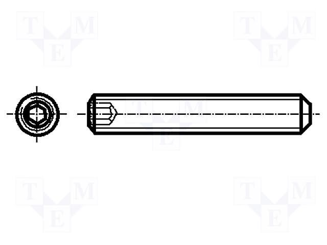 Screw; M6x12; 1; Head: without head; hex key; HEX 3mm; DIN 913 BOSSARD B6X12/BN617