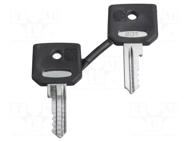 Key; 22mm; Harmony XB4; 2pcs. SCHNEIDER ELECTRIC ZBD8D1