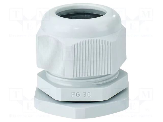 Cable gland; PG36; IP65; polyamide; light grey HENSEL HENSEL-AKS-36