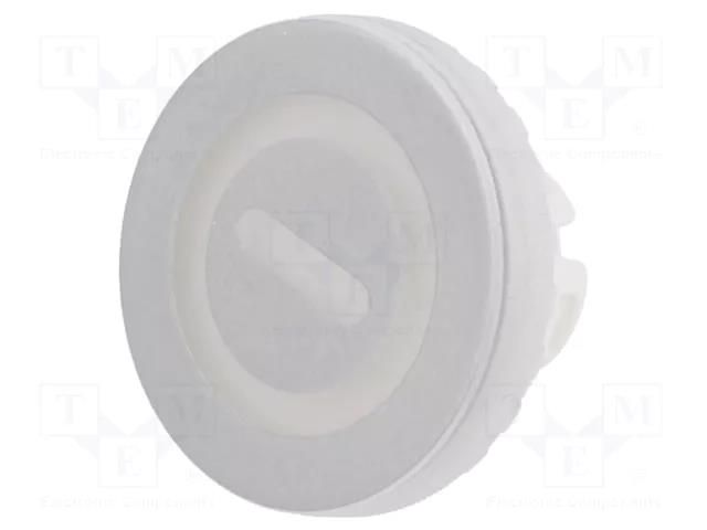 Actuator lens; 22mm; 84; transparent; plastic EAO 84-7111.702