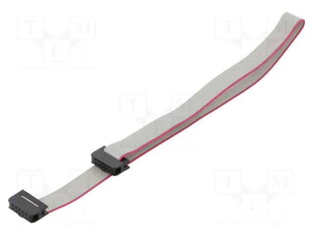 Ribbon cable with IDC connectors; Tape ph: 1mm; Contacts ph: 2mm CONNFLY DS1052-01-10NA2030