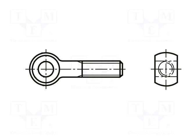 Lifting eye bolt; M6x100; Head: eye; steel; zinc; DIN 444A; 6mm BOSSARD B6X100/BN253