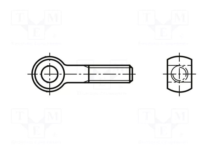 Lifting eye bolt; M6x100; Head: eye; steel; zinc; DIN 444A; 6mm BOSSARD B6X100/BN253